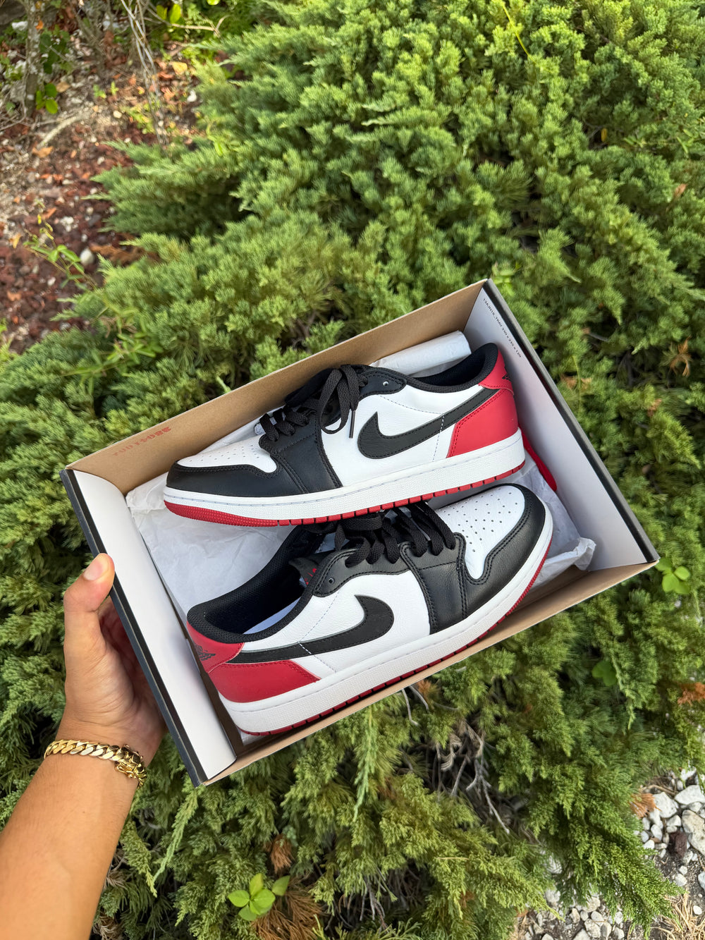 Jordan 1 Low Black Toe