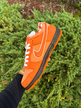 Nike SB Dunk Low Orange Lobster photo 4