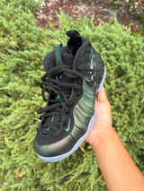 Nike Air Foamposite Pro Pine Green photo 3