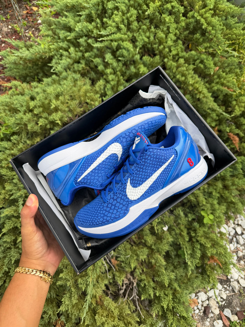 Kobe 6 Protro Dodgers