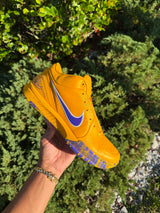 Kobe 4 Protro Draft Day Pack LA Lakers photo 2