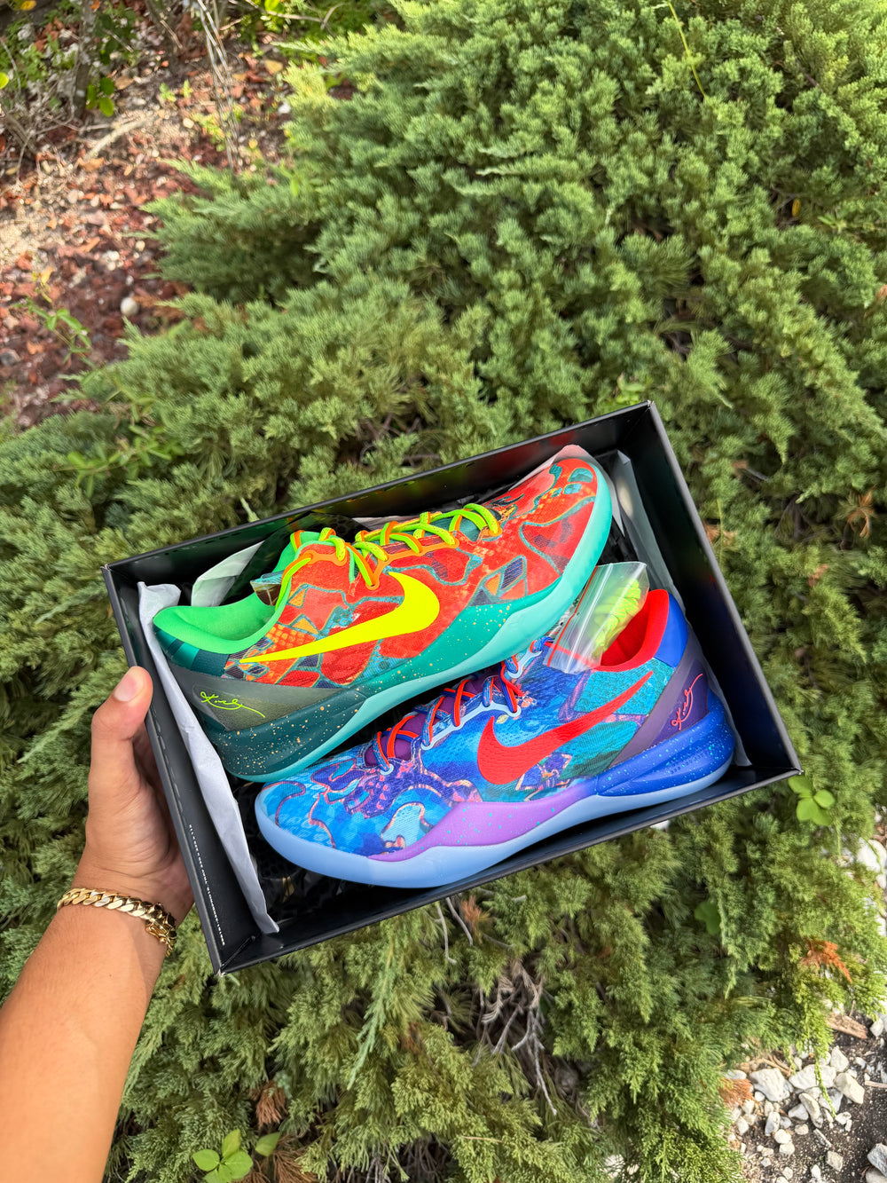 Kobe 8 Protro What The Deadstock
