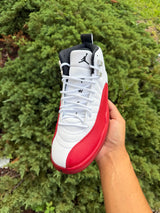 Jordan 12 Retro Cherry photo 3