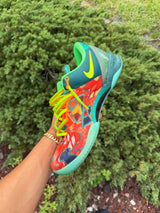 Kobe 8 Protro What The photo 4