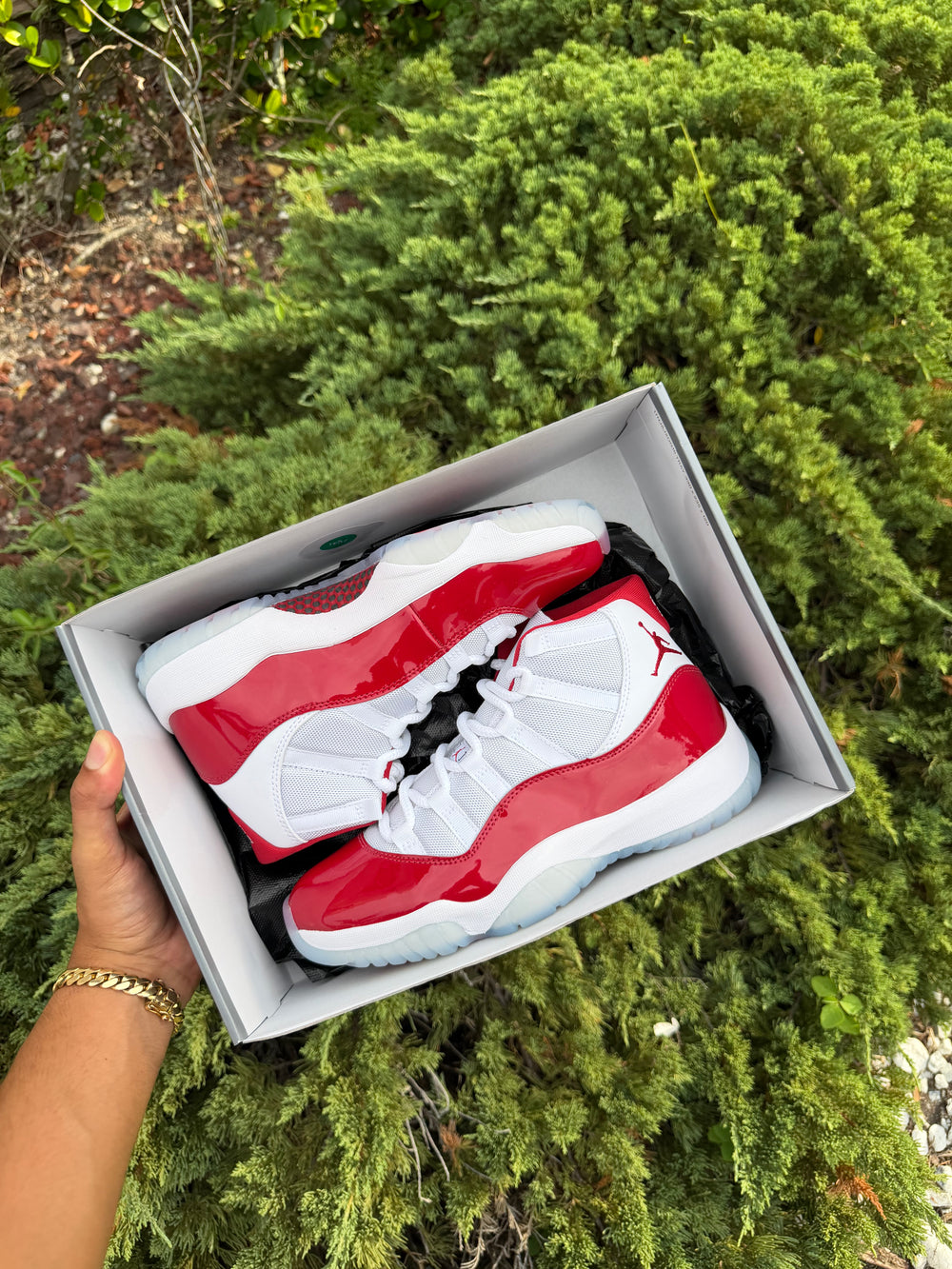 Jordan 11 Retro Cherry