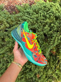 Kobe 8 Protro What The Deadstock photo 2