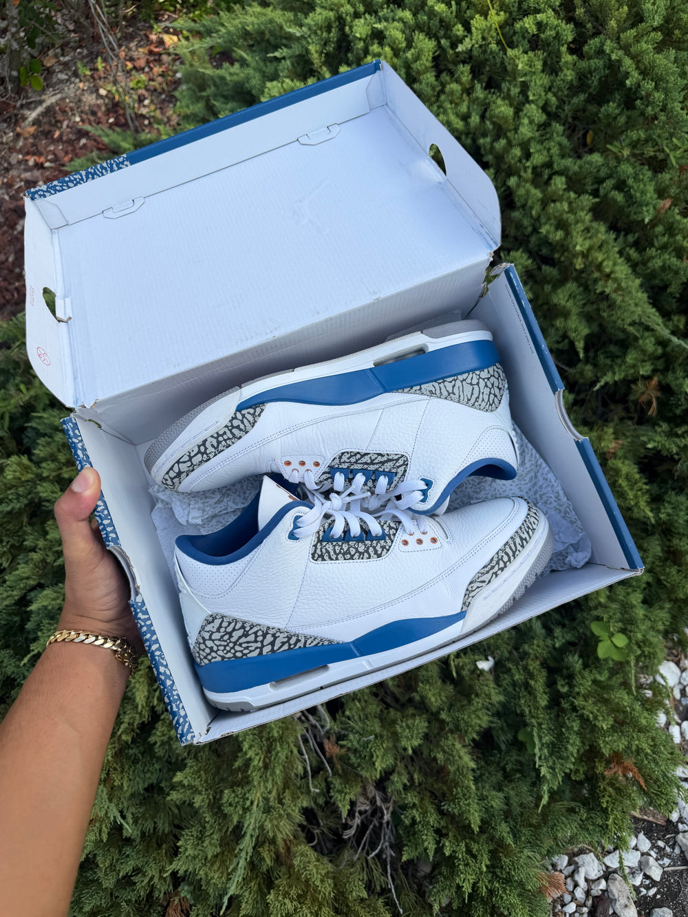 Jordan 3 Retro Wizards