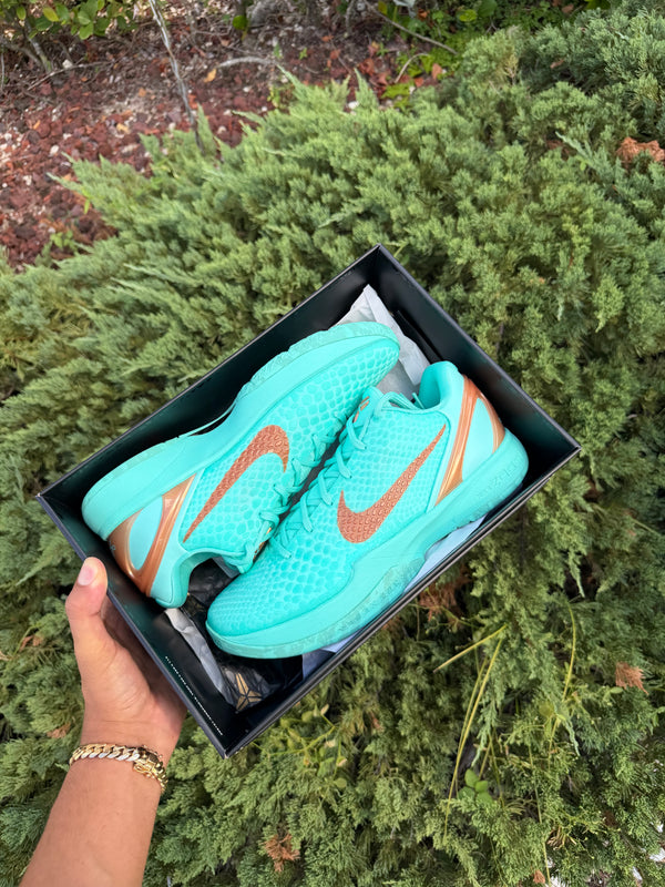 Kobe 6 Protro Jalen Brunson Statue of Liberty