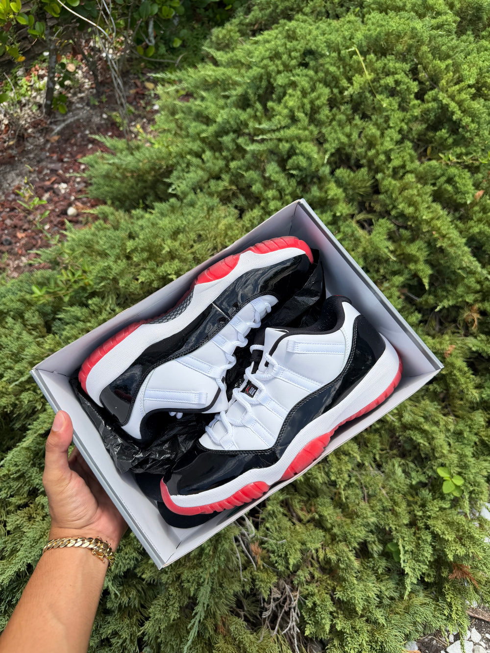 Jordan 11 Retro Low Concord Bred