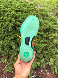 Kobe 8 Protro What The photo 6