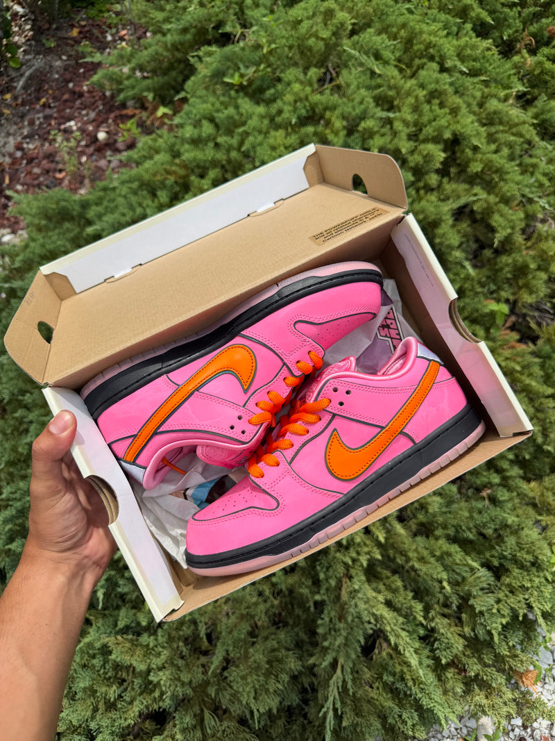 Nike SB Dunk Powerpuff Girls Blossom Size 8.5