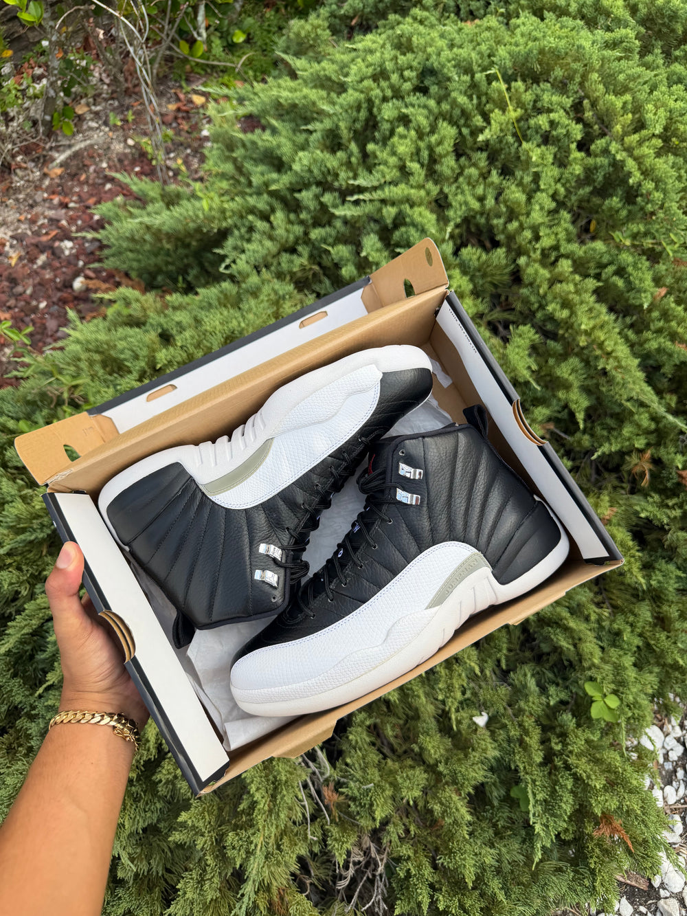 Jordan 12 Retro Playoff 2012