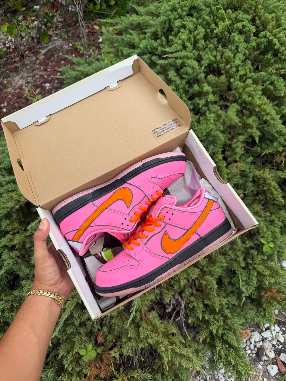 Nike SB Dunk Powerpuff Girls Blossom